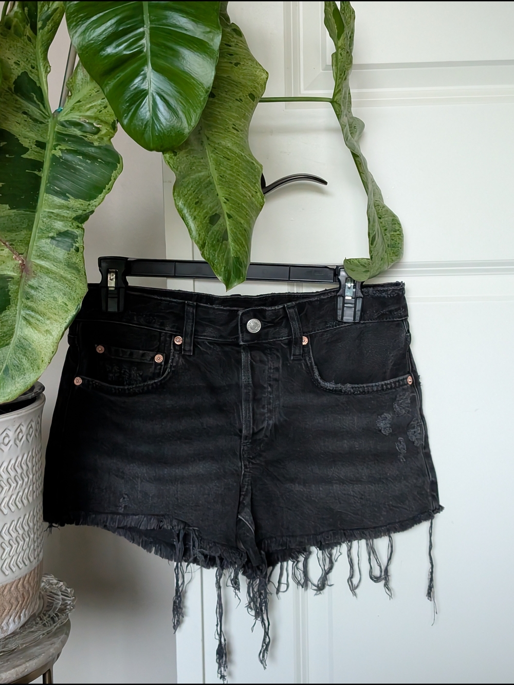 Free People Button Fly Mid-rise Cutoff Shorts